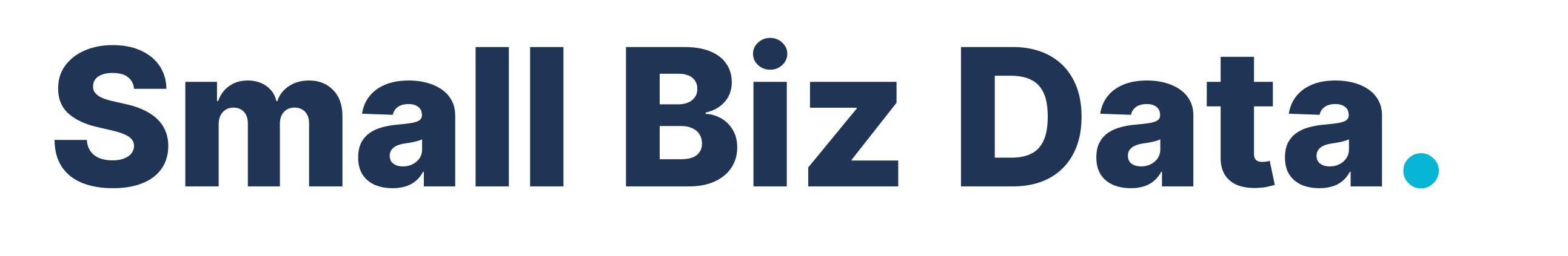 Horizantal Wordmark Logo White Background (light)